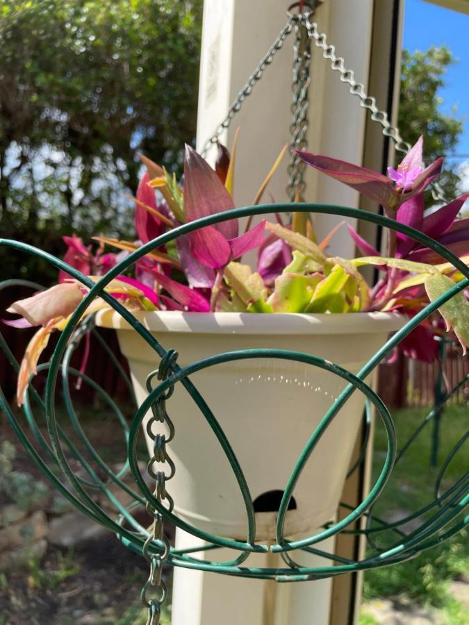 Theme Parks Amituofo Homestay Gold Coast Zewnętrze zdjęcie